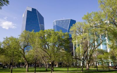 5 Reasons to Choose Local Roofing Contractors Near Me